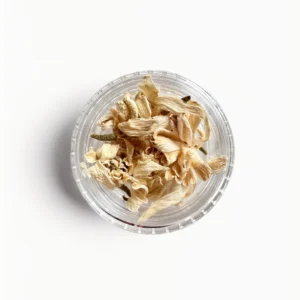 Gedroogd sneeuwklokje