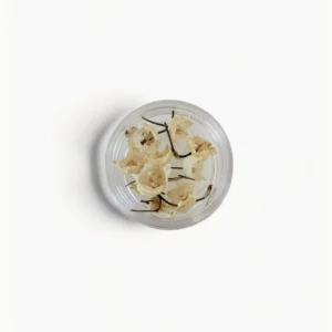 Gedroogde meiklokjes