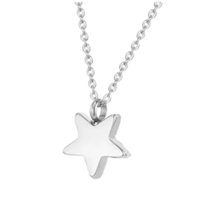 Stervormige ashanger in zilver